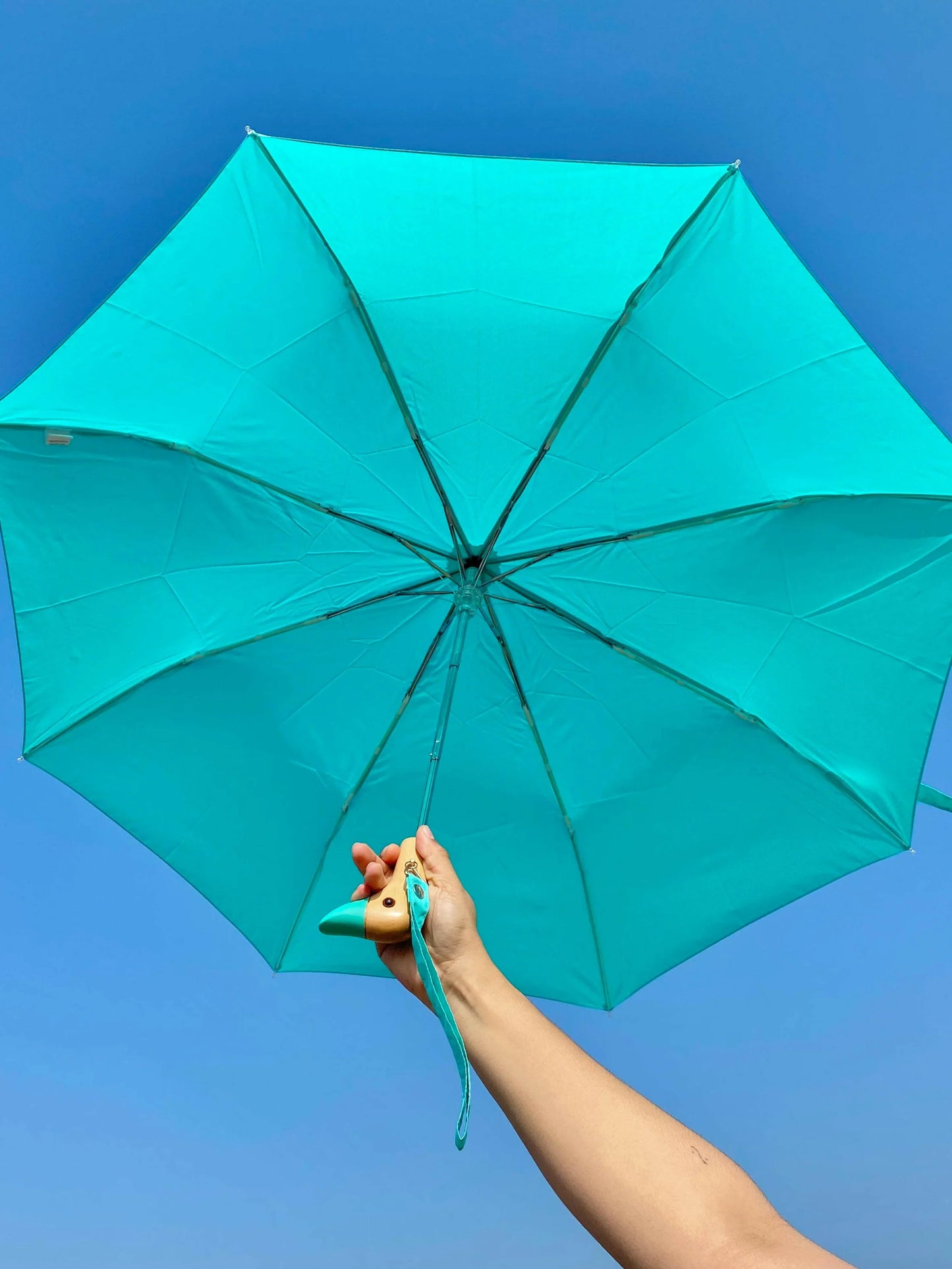 Parapluie