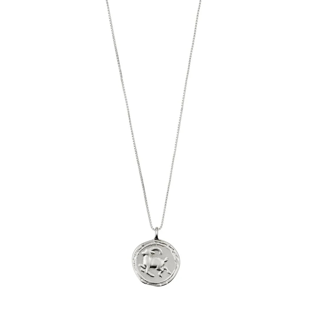 Collier plaqué argent - Horoscope Capricorne